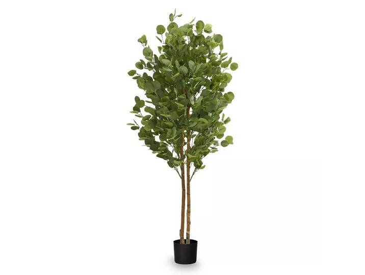 B-Ware Maia Shop Eukalyptusbaum Kunstpflanze Baum Künstlich Naturholzstamm Kunstbaum B-Ware B-Ware Maia Shop Eukalyptusbaum Kunstpflanze Baum Künstlich Naturholzstamm Kunstbaum B-Ware von second-circle