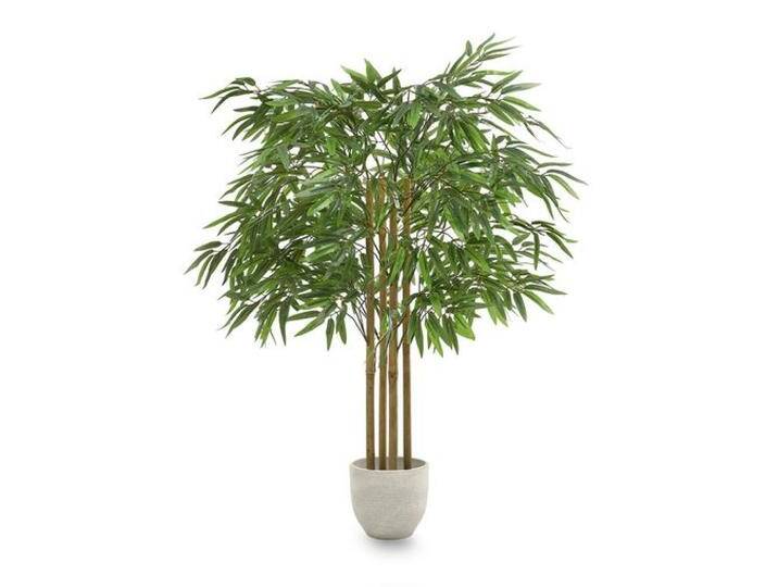 B-Ware Maia Shop Kunst Pflanze Bambusbaum Kunstbaum Tropisch Dekoration Im Topf B-Ware B-Ware Maia Shop Kunst Pflanze Bambusbaum Kunstbaum Tropisch Dekoration Im Topf B-Ware von second-circle