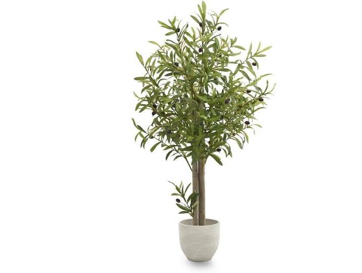 B-Ware Maia Shop Olivenbaum Kunstpflanze Künstlich Künstlicher Maße 105x60cm Baum B-Ware B-Ware Maia Shop Olivenbaum Kunstpflanze Künstlich Künstlicher Maße 105x60cm Baum B-Ware von second-circle
