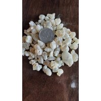 100 Gramm Olibanharz , Grünes Hojari Franckincense Resin | Herkunft Oman von seedsbypost