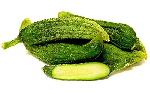 seedsown Keimfutter: 25 - Seeds: Pariserer Abbeizen Cucumber-Rare Hard to Find Samen-Französisch Gherkin -Versandkosten von seedsown