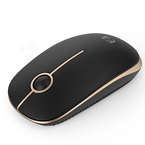 seenda Kabellose Maus mit USB Empfänger, leise Laptop Maus mit 1600 DPI für Windows/Mac/Linux, 18 Monate Akkulaufzeit(Schwarz und Gold) von seenda