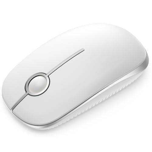 Seenda Kabellose Maus, 2,4 GHz, leise Maus mit USB-Empfänger, 18 Monate Akkulaufzeit, 1600 DPI optische Tracking, tragbare Computermäuse für Laptop, PC, Notebook, Weiß und Silber von seenda
