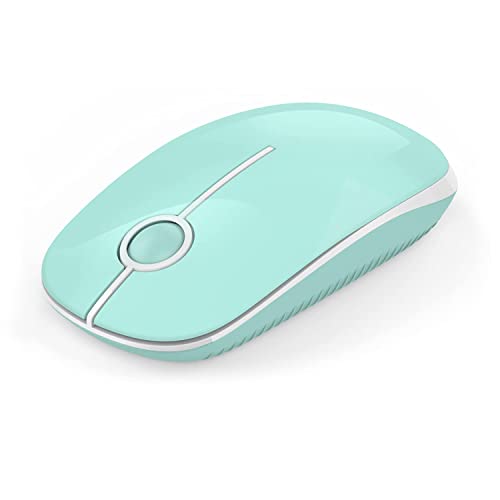 seenda Kabellose Maus, 2.4 G Silent Mouse mit USB-Empfänger, 18 Monate Akkulaufzeit, 1600 DPI Präzisions-tragbare Wireless Mouse für Windows/Mac/Linux mit USB-Anschlüssen, Blau und Weiß von seenda