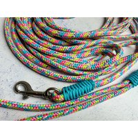 Schleppleine Aus 8mm Seil Mit Karabiner, Lange Hundeleine Für Mittelgroße Hunde, Schwimmleine, Schwimmfähig, Edelstahl Schleppleine Aus 8mm Seil Mit Karabiner, Lange Hundeleine Für Mittelgroße Hunde, Schwimmleine, Schwimmfähig, Edelstahl von seilartig