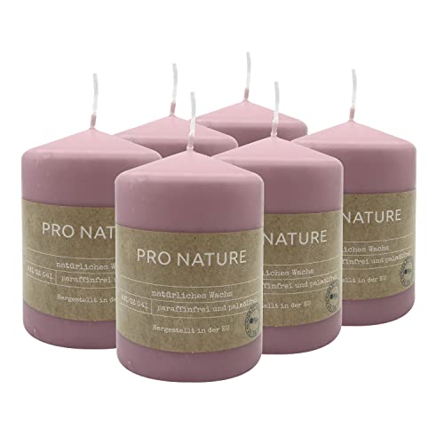 Müller Kerzen PRO NATURE Stumpenkerzen Gepresst - Flieder Lilac Stearin-Kerzen - 6 Stück - 6,8 x 10 cm - 20 Stunden Brenndauer - Natürliche Wachs - Ohne Palmöl und Paraffin - Unparfümierte Müller Kerzen PRO NATURE Stumpenkerzen Gepresst - Flieder Lilac Stearin-Kerzen - 6 Stück - 6,8 x 10 cm - 20 Stunden Brenndauer - Natürliche Wachs - Ohne Palmöl und Paraffin - Unparfümierte von seit 1744 müller KERZEN