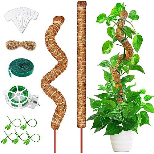 selizo Monstera Rankhilfe,2 Pack 64cm Moosstab für Monstera, Biegsame Rankhilfe Monstera Kokosstab für Pflanzen mit Zubehör, Pflanzenstab Moss Pole für Kletterpflanzen Pflanzenstütze von selizo