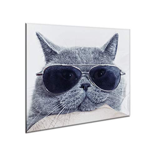 Herdbedeckplatte | Schneidebrett | Spritzschutz | Mehrfarbik Glasplatte | 60 cm x 52 cm | von semUp von semUp