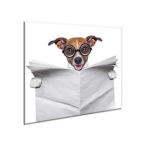 Herdbedeckplatte | Schneidebrett | Spritzschutz | Mehrfarbik Glasplatte | 60 cm x 52 cm | von semUp von semUp