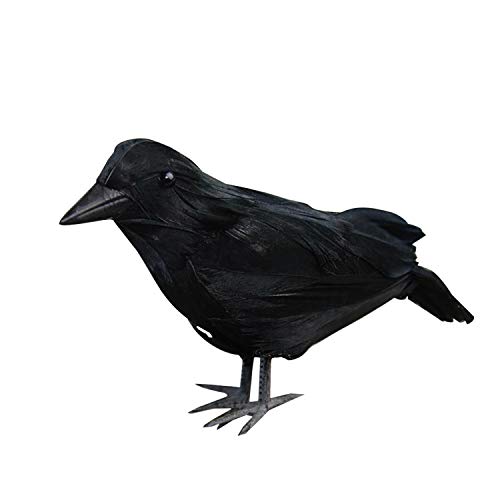 semen Halloween Rabe Dekoration Deko Krähe Mit Federn Schwarz Künstliche Rabe Gothic Dekor für Thema Party Gartenfigur Kunstvogel semen Halloween Rabe Dekoration Deko Krähe Mit Federn Schwarz Künstliche Rabe Gothic Dekor für Thema Party Gartenfigur Kunstvogel von semen
