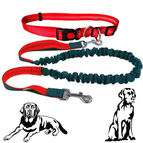Senvenelec 1Pcs Ausziehbare Hundeleine, 16 ft (5 m) - 33 ft (10 m), Rot, Silikon, Schnalle von senvenelec