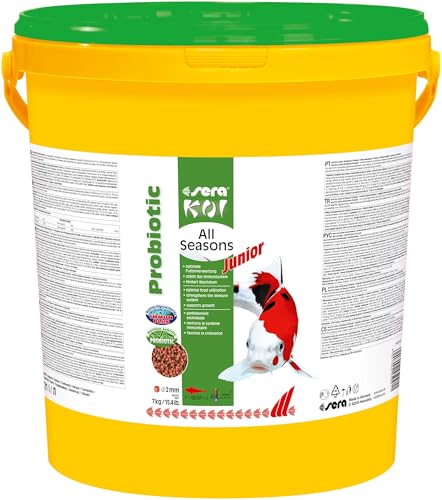 sera Koi Junior All Seasons Probiotic 7 kg | Spezialfutter für Jung-Koi bis 15cm | Mit EFSA-empfohlenem Bacillus subtilis | Optimiert die Darmflora & Futterverwertung | Reduziert Wasserbelastung von sera