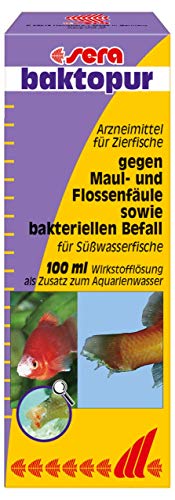 sera baktopur 100 ml - Arzneimittel für Fische gegen bakterielle Infektionen (z. B. Maul- und Flossenfäule), Medizin fürs Aquarium von sera