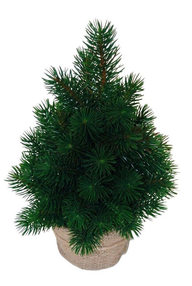 sesua Künstlicher Weihnachtsbaum Weihnachtsbaum Tannenbaum Christbaum sehr echt wirkend von sesua