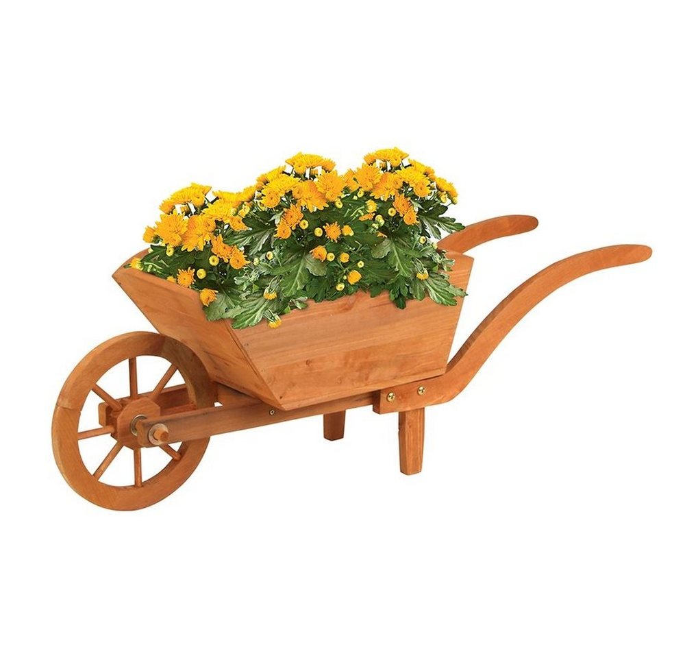 sesua Pflanzkübel Pflanzschubkarre Schubkarre Blumenkübel Holz 100x30x34cm (1 St) von sesua