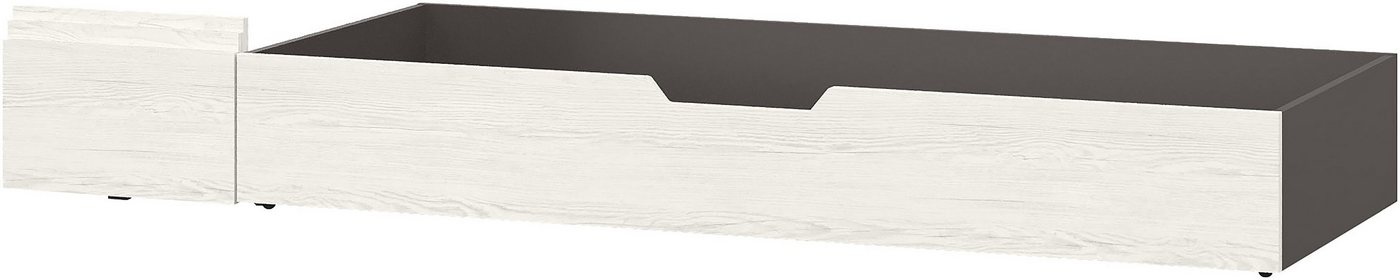 set one by Musterring Stauraumbett York Schlafen (1-tlg), Bettkasten für viel Stauraum, B 65 x T 200 cm, zwei Farbvarianten von set one by Musterring