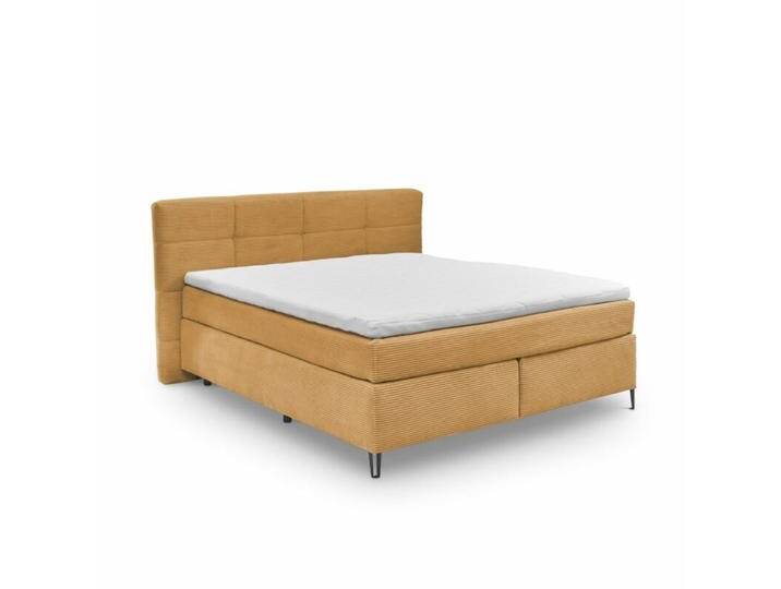 set one by Musterring Fairfield Boxspringbett Bezug Ribcord und Kopfteil mit Kassettenfeldern - Ribcord Zoom mustard , 160 x 200 , ohne Zusatzausstattung set one by Musterring Fairfield Boxspringbett Bezug Ribcord und Kopfteil mit Kassettenfeldern - Ribcord Zoom mustard , 160 x 200 , ohne Zusatzausstattung von set-one-by-Musterring