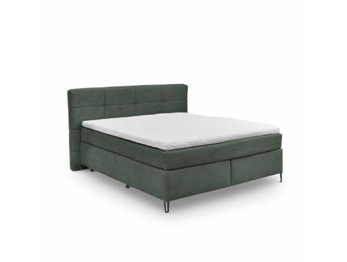 set one by Musterring Fairfield Boxspringbett Bezug Ribcord und Kopfteil mit Kassettenfeldern - Ribcord Zoom winter moss , 160 x 200 , inkl. Kissen set one by Musterring Fairfield Boxspringbett Bezug Ribcord und Kopfteil mit Kassettenfeldern - Ribcord Zoom winter moss , 160 x 200 , inkl. Kissen von set-one-by-Musterring