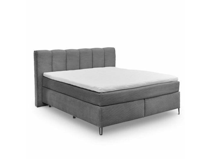 set one by Musterring, Fairfield Boxspringbett Bezug in Ribcord und Kopfteil mit senkrechter Keder - Ribcord Zoom ash , 160 x 200 , ohne Zusatzausstattung, Modern, Zeitlos set one by Musterring, Fairfield Boxspringbett Bezug in Ribcord und Kopfteil mit senkrechter Keder - Ribcord Zoom ash , 160 x 200 , ohne Zusatzausstattung, Modern, Zeitlos von set-one-by-Musterring