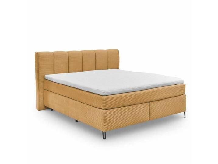 set one by Musterring Fairfield Boxspringbett Bezug in Ribcord und Kopfteil mit senkrechter Keder - Ribcord Zoom mustard , 180 x 200 , ohne Zusatzausstattung set one by Musterring Fairfield Boxspringbett Bezug in Ribcord und Kopfteil mit senkrechter Keder - Ribcord Zoom mustard , 180 x 200 , ohne Zusatzausstattung von set-one-by-Musterring