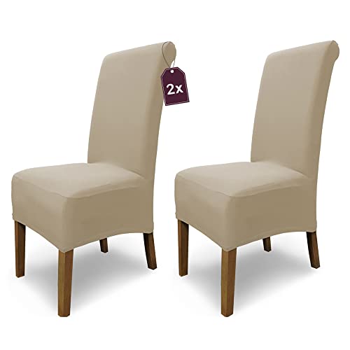 SCHEFFLER-Home 2X Stuhlhussen Stretch Emma/elastische Stuhlhussen Beige 2er Set/Stuhlhussen Baumwolle als Stuhlabdeckung/Stuhlhussen Schwingstühle/Stuhl Hussen Stretch als Stuhlüberzug von sh SCHEFFLER-HOME LIVE HOMESTYLE