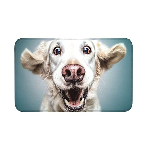 Saugstarke Türmatte Lustiger Labrador Fußmatte Komfortabel Badvorleger Dauerhaft Sauberlaufmatte Für Außen Flur Eingang 40X60Cm von shanxiouzhanshaoshangmaoyouxiangongsi