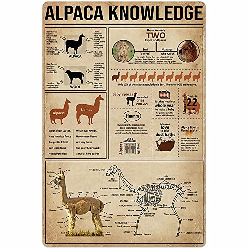 Alpaka Wissen Metall Poster Anatomie Retro Blechschild Wandkunst Dekoration Schule Bildung Bauernhof Schlafzimmer Plakette 8x12 Zoll von shenguang