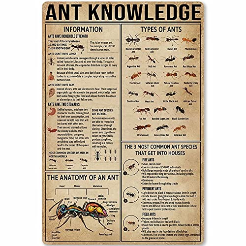 Ant Knowledge Metallblechschild Ameise Hobeln Infografik Poster Plaque für Bar Cafe Club Schule Home Küche Dekoration 12x16 Zoll von shenguang