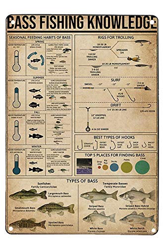 Metallschild Custom Bass Fishing Knowledge Beach Bar Dekor von shenguang