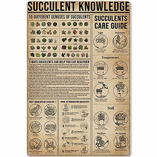 Metallblechschild saftiges Wissending Succulent Knowledge Guide Educational Infographics Wall Plaque Poster for School Farm Flower Shop Home Kitchen 12x16 Zoll von shenguang