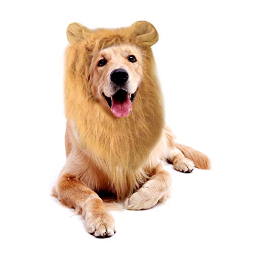 shenruifa Puppy Mähne Kostüm, Lebensechte Lustige Perücke für Hunde, Große Mittelgroße Haustiere mit Einstellbarem Ohrenschwanz, für Halloween -Rollenspielpartys von shenruifa