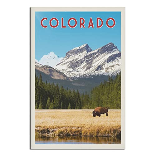 Metall-Blechschild Colorado Vintage Reise Blechschild rustikale Dekoration Höhle Café Bar Schlafzimmer Zuhause Wanddekoration Blechschild 30 x 43 cm von shgwehh