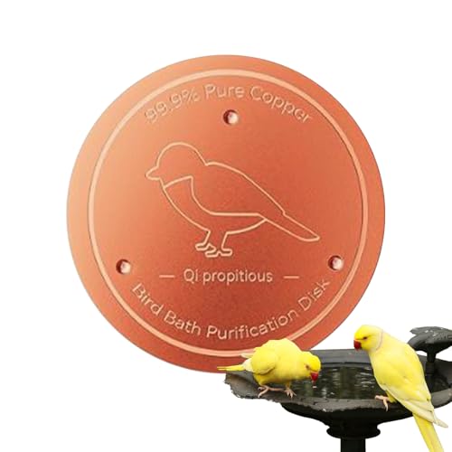 shjxi Kupfer-Vogeltränke, Reinkupfer-Reinigungsscheibe, Dreipunktstütz-Design, natürliches Wasserreiniger-Werkzeug, für Vogeltränke, Hinterhof, Garten, Terrasse, Futterstationen shjxi Kupfer-Vogeltränke, Reinkupfer-Reinigungsscheibe, Dreipunktstütz-Design, natürliches Wasserreiniger-Werkzeug, für Vogeltränke, Hinterhof, Garten, Terrasse, Futterstationen von shjxi