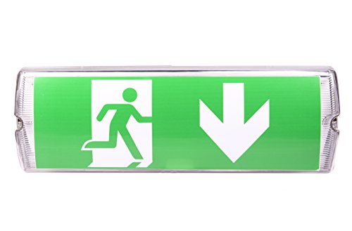IP 65 LED Dauerlicht Notleuchte Notbeleuchtung Notausgang Fluchtwegleuchte Notlicht Fluchtweg EXIT (Dauerlicht IP65) von shopVG