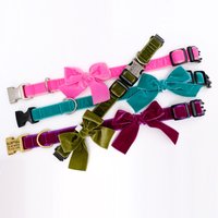Gravierte Schleife Samt Hundehalsband Set | Personalisierte Schnalle Abnehmbares Schleifen - 20+ Farben von shopmimigreen