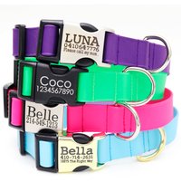Leichtes, Wasserdichtes Biothane Hundehalsband Mit Eingravierter Schnalle | Die Day Trip Kollektion Halsband Aus Leichtes, Wasserdichtes Biothane Hundehalsband Mit Eingravierter Schnalle | Die Day Trip Kollektion Halsband Aus von shopmimigreen