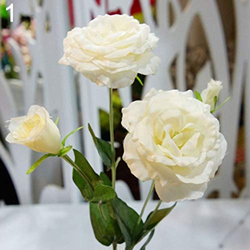 Eustoma Blumensamen, Lisianthus-Samen, 50 Stück von shoppingba