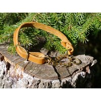 Cognacfarbenes Fettlederhalsband Für Größere Hunde, Mit Zugkette von shoprsp