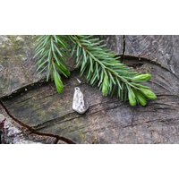 Halsbandanhänger Aus Echtem Hirschhorn Halsbandanhänger Aus Echtem Hirschhorn von shoprsp