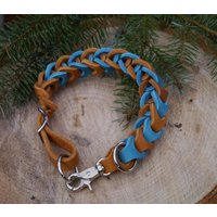 Neu Zweifarbiges Fettlederhalsband Rsp-Design "Numero Due Piccolino' Für Kleinere Hunde Mit Karabiner von shoprsp