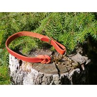 Rotes Fettlederhalsband Für Größere Hunde, Mit Zugkette von shoprsp