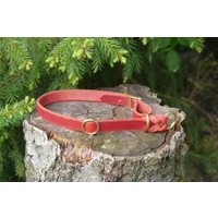 Rotes Fettlederhalsband Für Größere Hunde, Mit Zugstopp von shoprsp