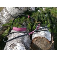 Showhalsung Aus Fettleder Mit Kehlkopfschutz Ausstellungsleine Vorführleine Unifarben von shoprsp