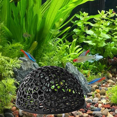 shpuuyy -Zuchthöhle - Versteck Aquarium Dekoration | Hohler Unterschlupf Für Kampffische Zierfische Ruheplatz Süßwasser Aquarium Heimat Für Wasserschildkröten shpuuyy -Zuchthöhle - Versteck Aquarium Dekoration | Hohler Unterschlupf Für Kampffische Zierfische Ruheplatz Süßwasser Aquarium Heimat Für Wasserschildkröten von shpuuyy