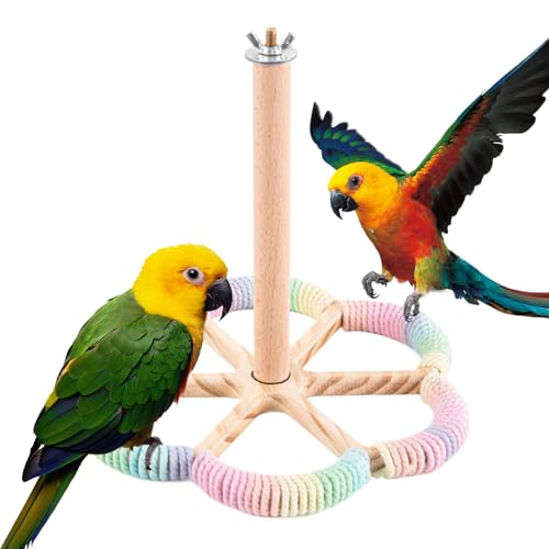 shuhauk Vogelsitzstange | Interaktiver drehbarer Ständer | Interaktive Bereicherung Sitzstange für kleine mittelgroße Vögel Käfig Kolibri Kanarienvögel Lovebird shuhauk Vogelsitzstange | Interaktiver drehbarer Ständer | Interaktive Bereicherung Sitzstange für kleine mittelgroße Vögel Käfig Kolibri Kanarienvögel Lovebird von shuhauk