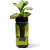 side by side - Self Watering Bottle Blumentopf, grün von side by side