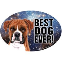 Boxer Der Beste Hund Aller Zeiten Schönes Galaxy Star Design Oval Hundemagnet Auto Kühlschrank Jede Metalloberfläche Wasserdicht Uv Beständig von signsandstuffaz