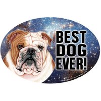 Bulldogge Der Beste Hund Aller Zeiten Galaxy Design Oval Magnet Auto Kühlschrank Alle Metalloberflächen Wasserdicht Uv Beständig Made in Usa 4 "4 von signsandstuffaz