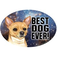 Chihauhua Bester Hund Aller Zeiten Niedliches Oval Hundemagnet Auto-Kühlschrank Jede Metalloberfläche Wasserdicht Uv Beständig Made in Usa 4 "x 6" von signsandstuffaz