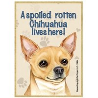 Hier Lebt Der Verwöhnte Rotten Chihuahua Schöner Holz-Hundemagnet-Kühlschrank-Küchen-Schließfach Jede Metalloberfläche Made in Usa 2, 5 "x 3 von signsandstuffaz